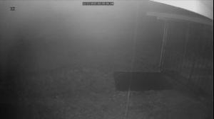 Caméra IP - United States of America