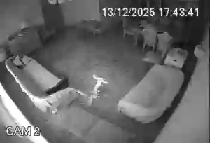 Caméra IP - Brésil