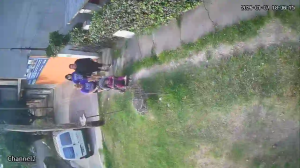 Caméra IP - Argentina