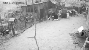 Caméra IP - Romania