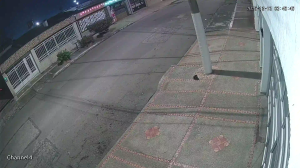 Caméra IP - Colombia