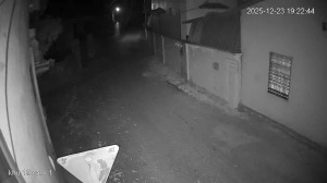 Caméra IP - Vietnam