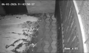 Caméra IP - Germany