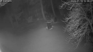 Caméra IP - Germany