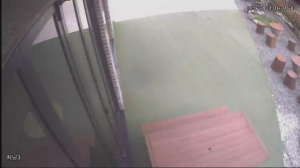 Caméra IP - South Korea