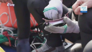 Caméra IP - South Korea