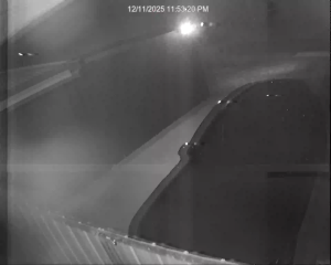 Caméra IP - Australia