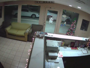 Caméra IP - États-Unis d'Amérique