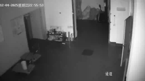 Caméra IP - People's Republic of China