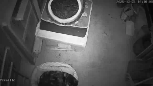 Caméra IP - Norvegia