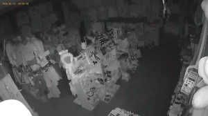 Caméra IP - Russian Federation