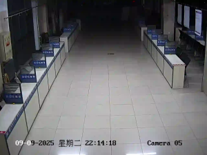 Caméra IP - China