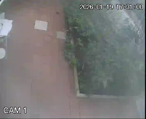 Caméra IP - Portugal