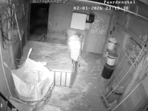 Caméra IP - Netherlands