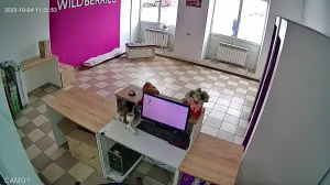 Caméra IP - Russie