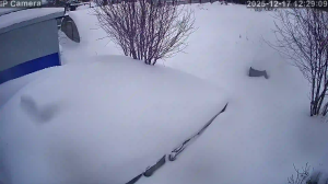 Caméra IP - Russian Federation