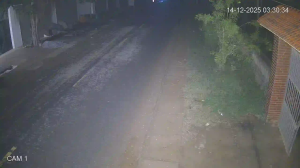 Caméra IP - Vietnam