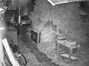 Caméra IP - Alemania