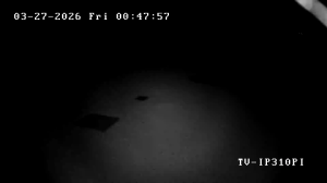 Caméra IP - Vereinigte Staaten von Amerika