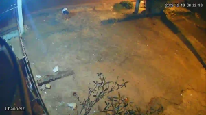 Caméra IP - Paraguay