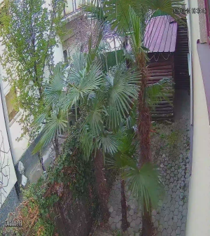 Caméra IP - Macedonia del Norte