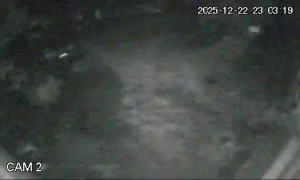 Caméra IP - Vietnam