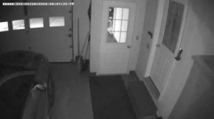 Caméra IP - United States of America