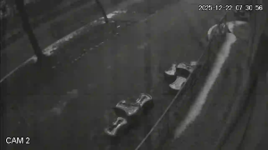 Caméra IP - Ucrania