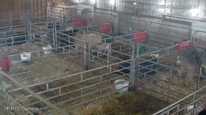 Caméra IP - Vereinigte Staaten von Amerika