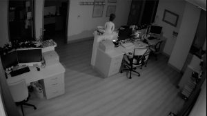 Caméra IP - Vereinigte Staaten von Amerika