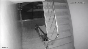 Caméra IP - South Korea