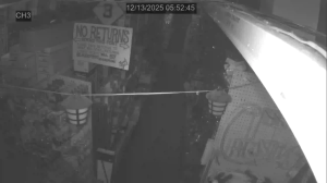 Caméra IP - États-Unis d'Amérique