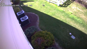 Caméra IP - United States of America