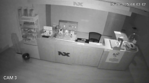 Caméra IP - Malaysia