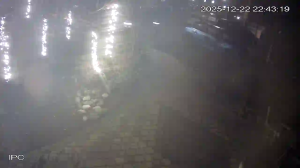 Caméra IP - Netherlands