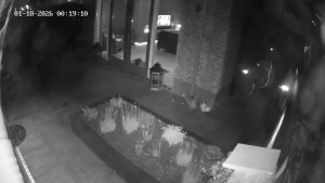 Caméra IP - Netherlands