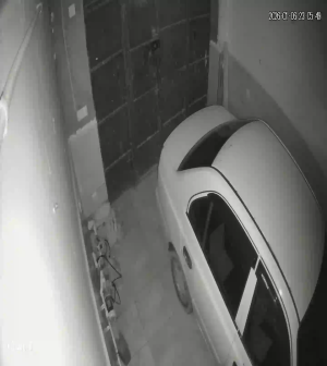 Caméra IP - Algerien