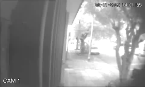 Caméra IP - Argentina