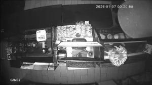 Caméra IP - Russische Föderation