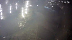 Caméra IP - Netherlands