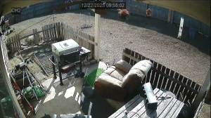 Caméra IP - États-Unis d'Amérique