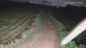 Caméra IP - Vietnam