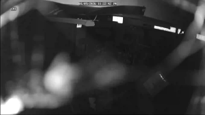 Caméra IP - United States of America