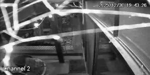 Caméra IP - Vereinigte Staaten von Amerika