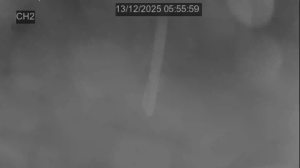 Caméra IP - Pays-Bas