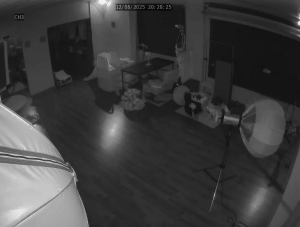 Caméra IP - Corée du Sud