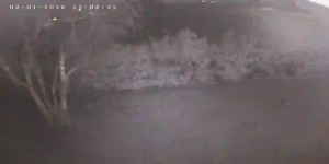 Caméra IP - Italien