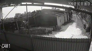 Caméra IP - Vietnam