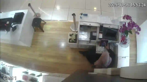 Caméra IP - Malaysia