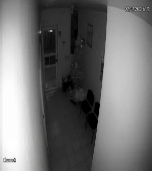 Caméra IP - Mexique